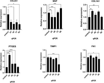 Single-Cell RNA Sequencing Reveals the Difference in Human Normal and Degenerative Nucleus Pulposus Tissue Profiles and Cellular Interactions